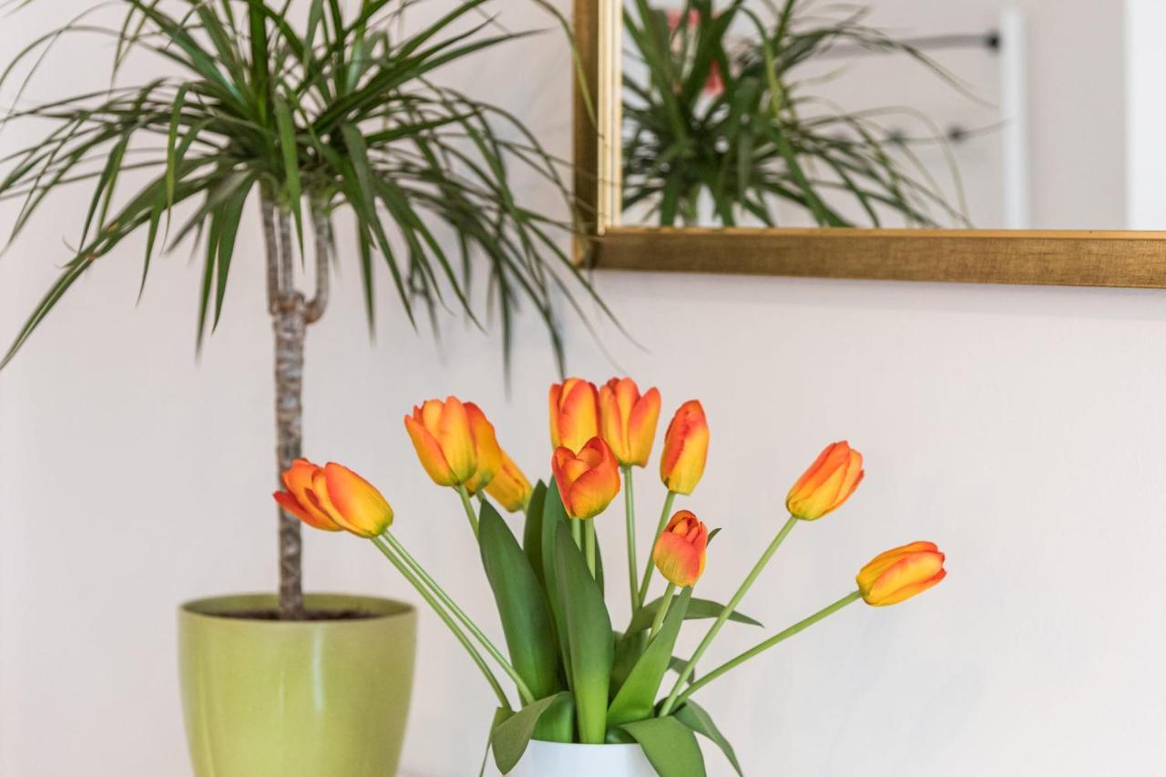 Apartmán Guestready - The New Made In Porto Exteriér fotografie